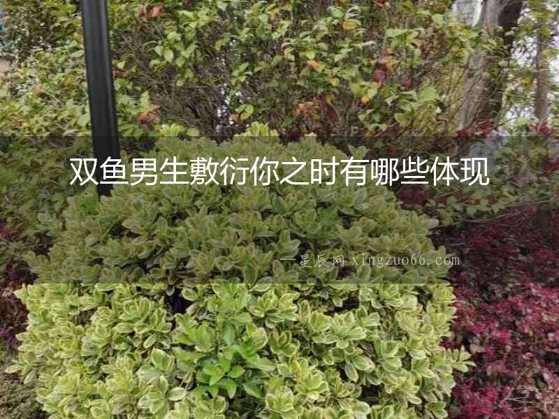 雙魚(yú)男生敷衍你之時(shí)有哪些體現(xiàn)