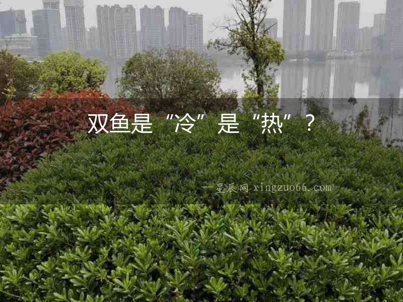 雙魚是“冷”是“熱”？
