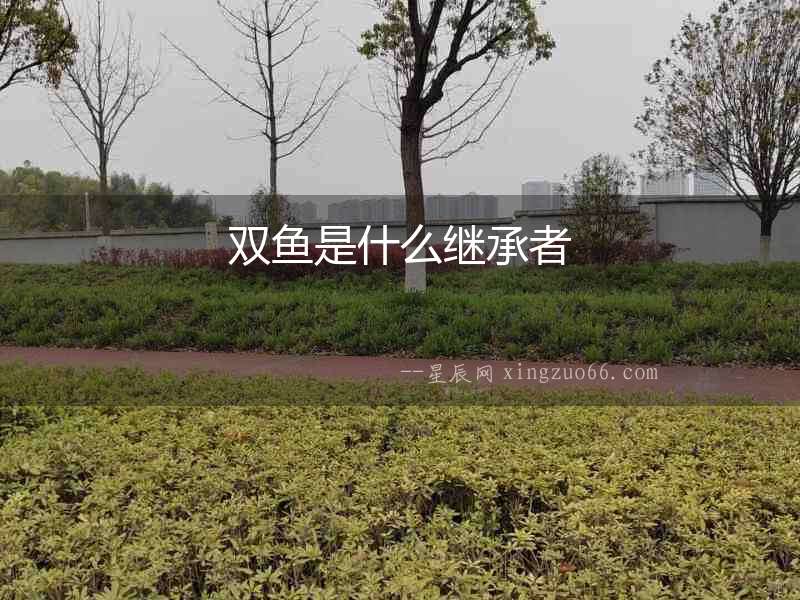 雙魚是什么繼承者