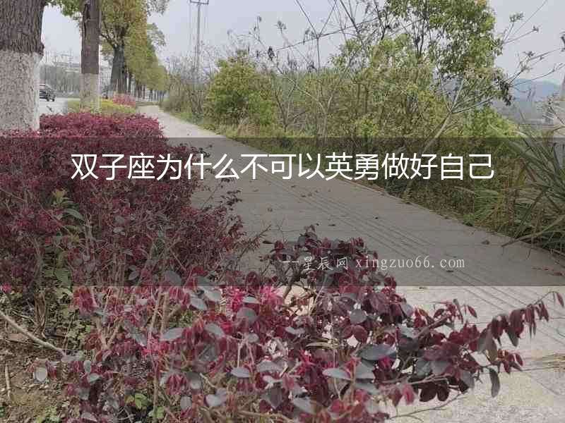 雙子座為什么不可以英勇做好自己