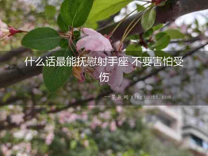 什么話最能撫慰射手座 不要害怕受傷