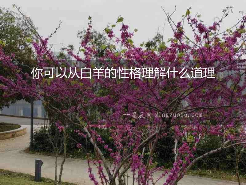 你可以從白羊的性格理解什么道理
