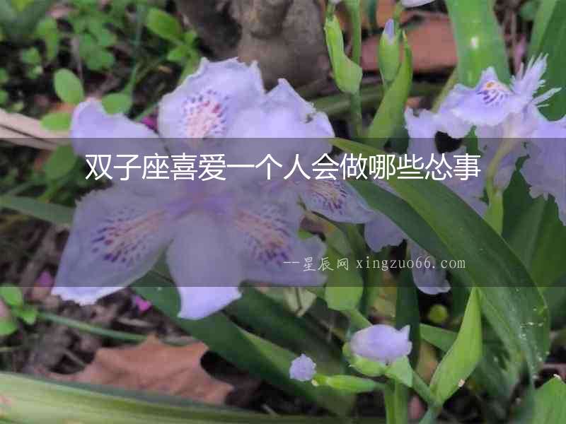 雙子座喜愛一個人會做哪些慫事