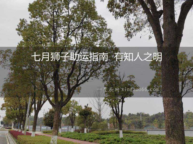 七月獅子助運指南  有知人之明