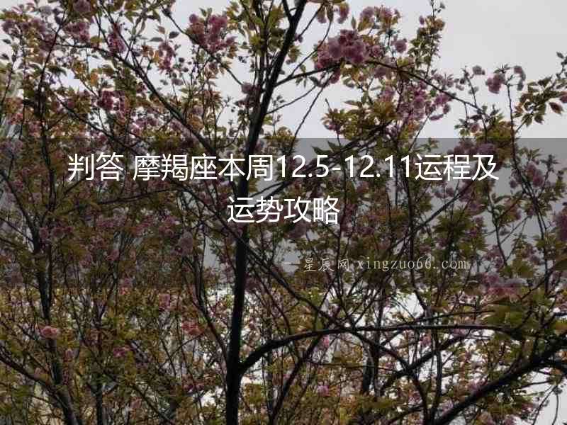 判答 摩羯座本周12.5-12.11運程及運勢攻略