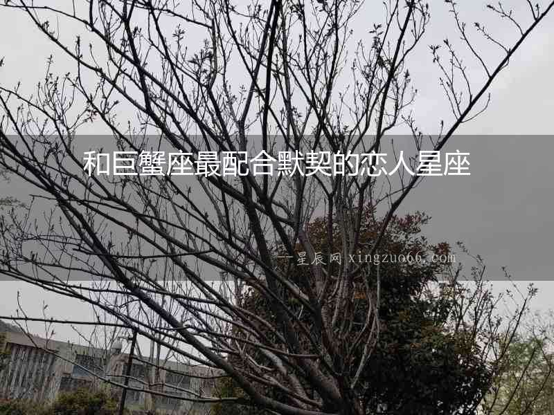 和巨蟹座最配合默契的戀人星座