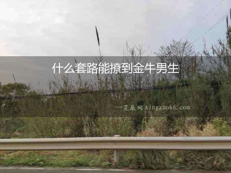 什么套路能撩到金牛男生