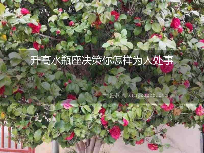 升高水瓶座決策你怎樣為人處事