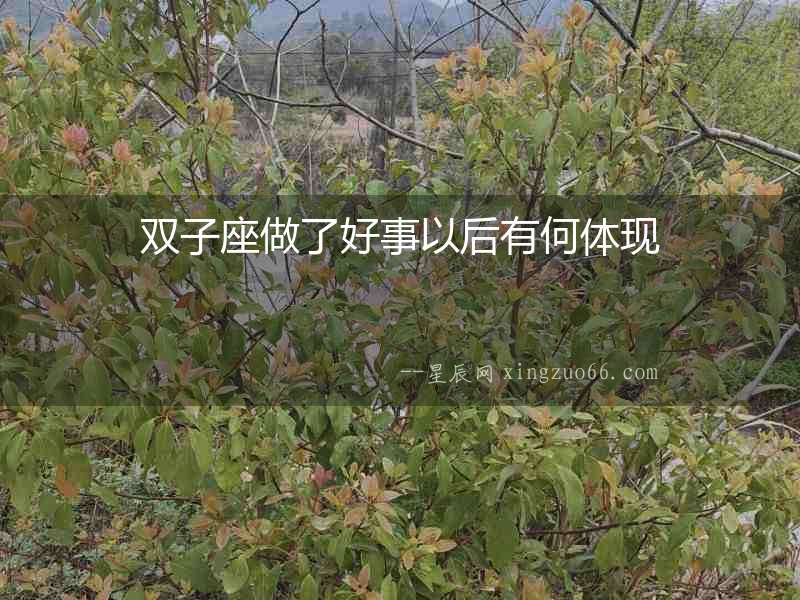 雙子座做了好事以后有何體現