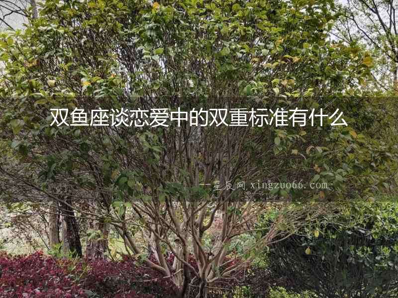 雙魚座談戀愛中的雙重標準有什么