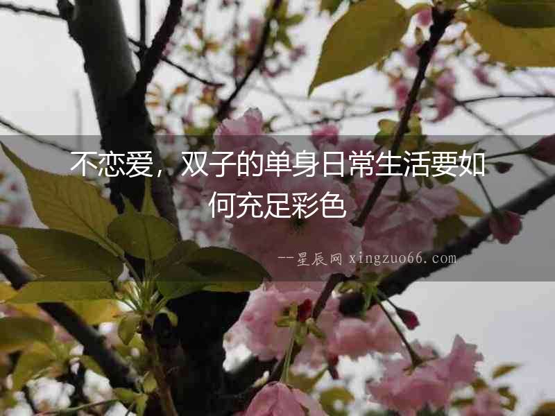 不戀愛，雙子的單身日常生活要如何充足彩色