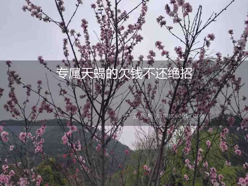 專屬天蝎的欠錢不還絕招
