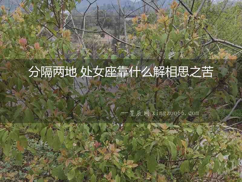 分隔兩地 處女座靠什么解相思之苦