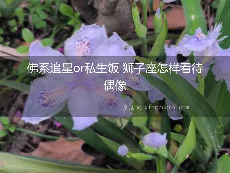 佛系追星or私生飯 獅子座怎樣看待偶像