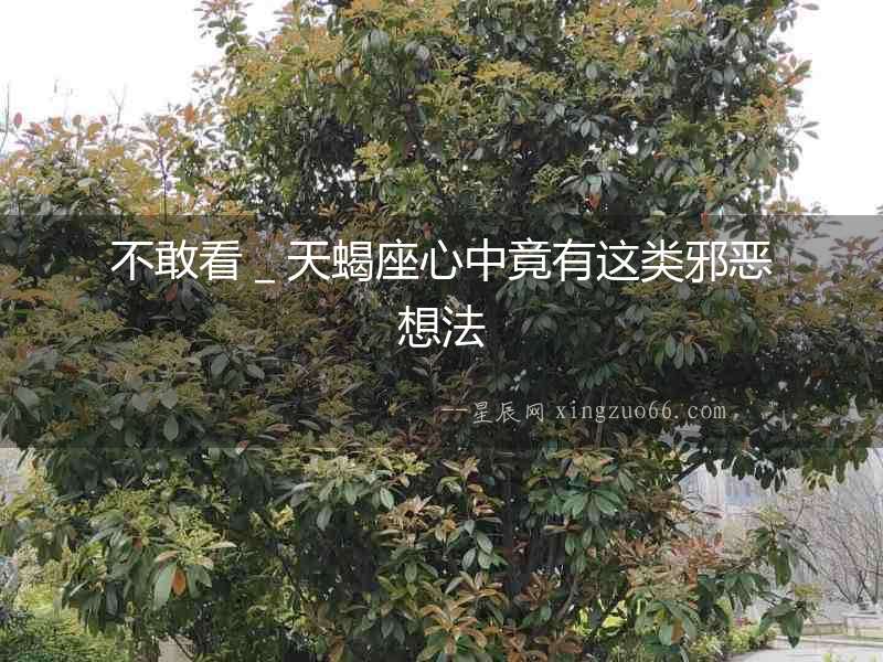 不敢看＿天蝎座心中竟有這類邪惡想法