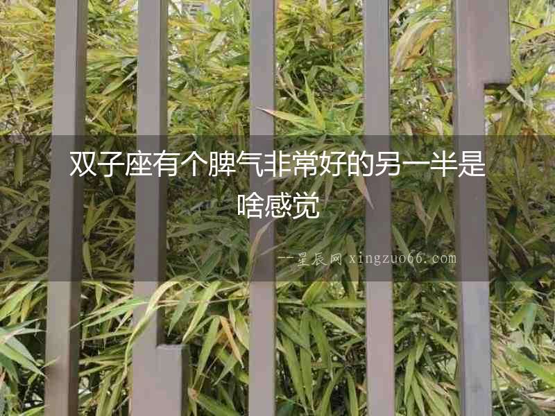 雙子座有個脾氣非常好的另一半是啥感覺