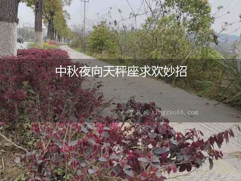 中秋夜向天秤座求歡妙招