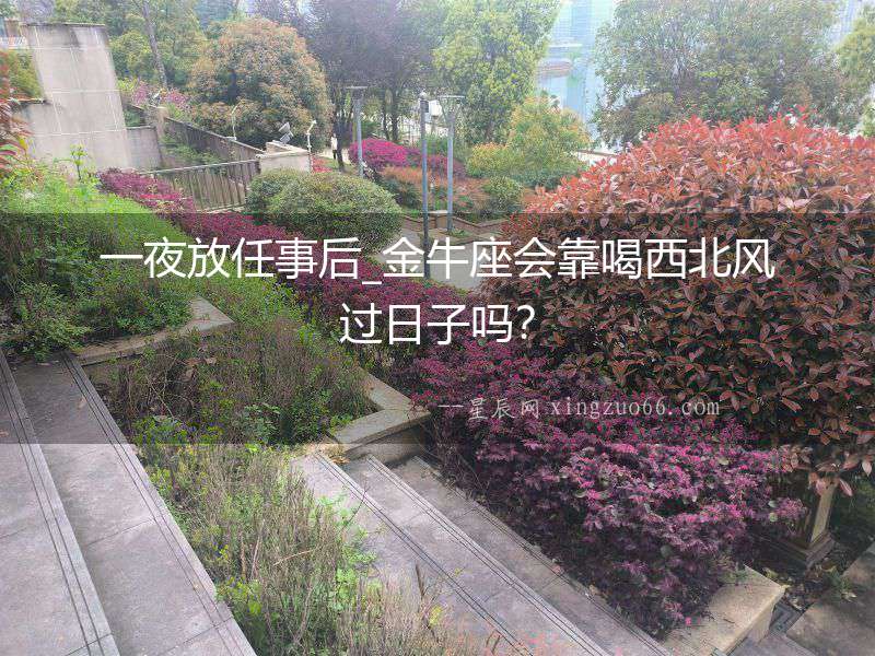 一夜放任事后_金牛座會靠喝西北風過日子嗎？