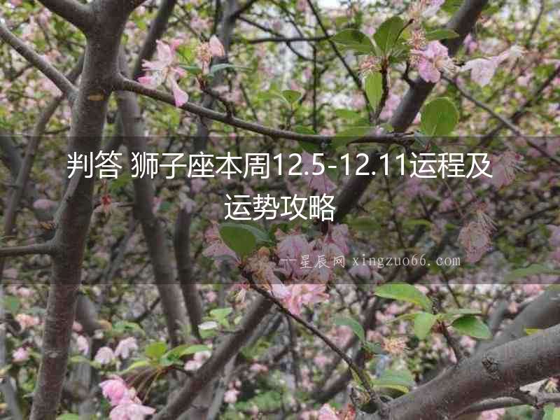 判答 獅子座本周12.5-12.11運程及運勢攻略