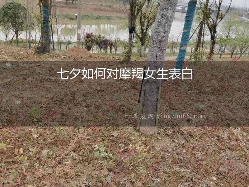 七夕如何對摩羯女生表白