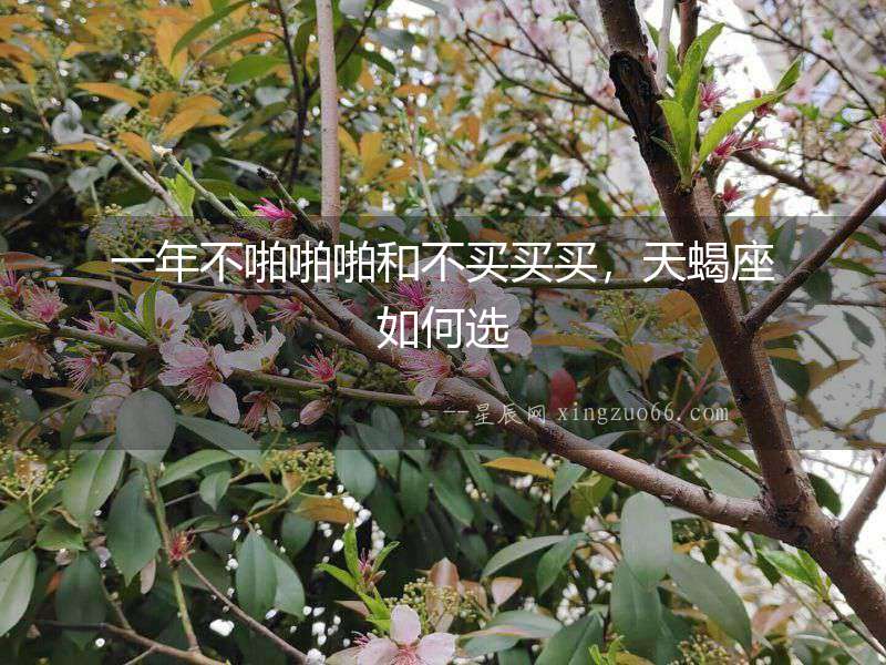 一年不啪啪啪和不買買買，天蝎座如何選