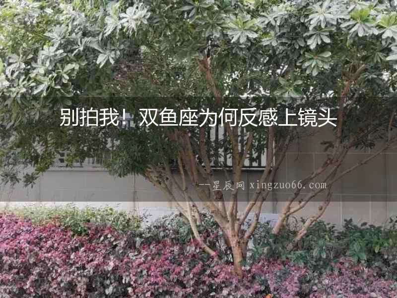 別拍我！雙魚座為何反感上鏡頭
