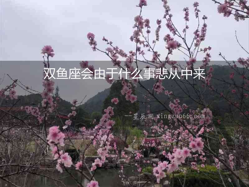 雙魚座會由于什么事悲從中來