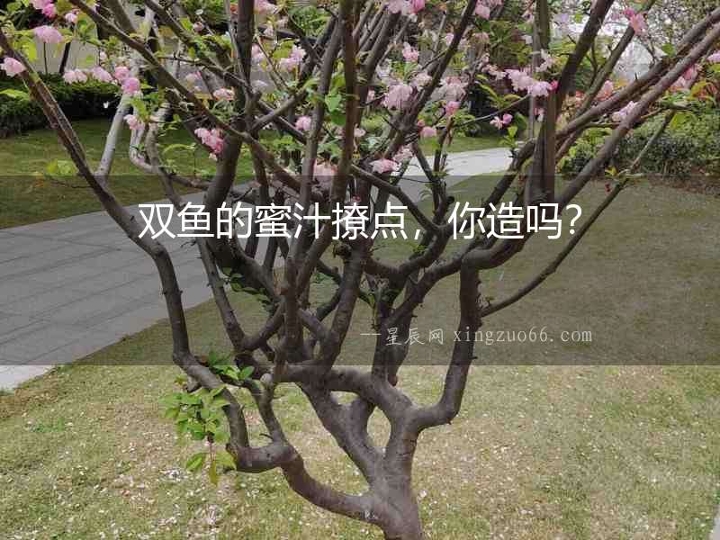 雙魚的蜜汁撩點，你造嗎？