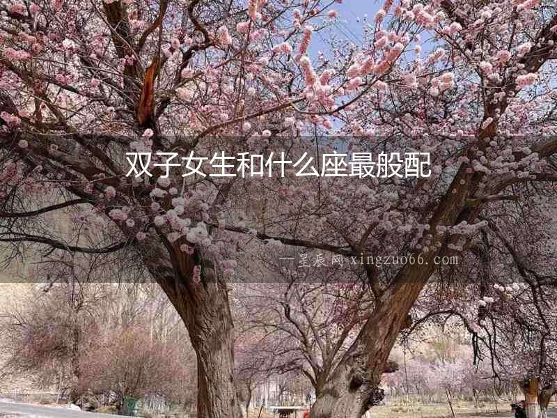 雙子女生和什么座最般配