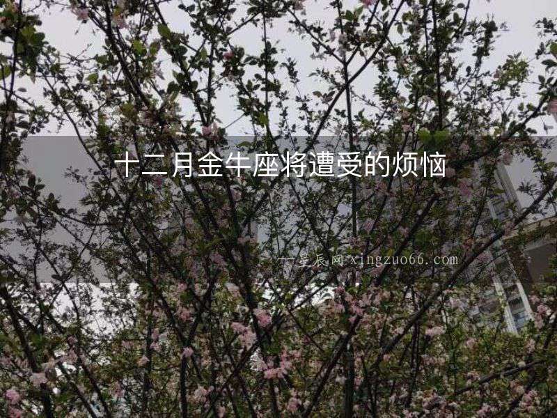 十二月金牛座將遭受的煩惱