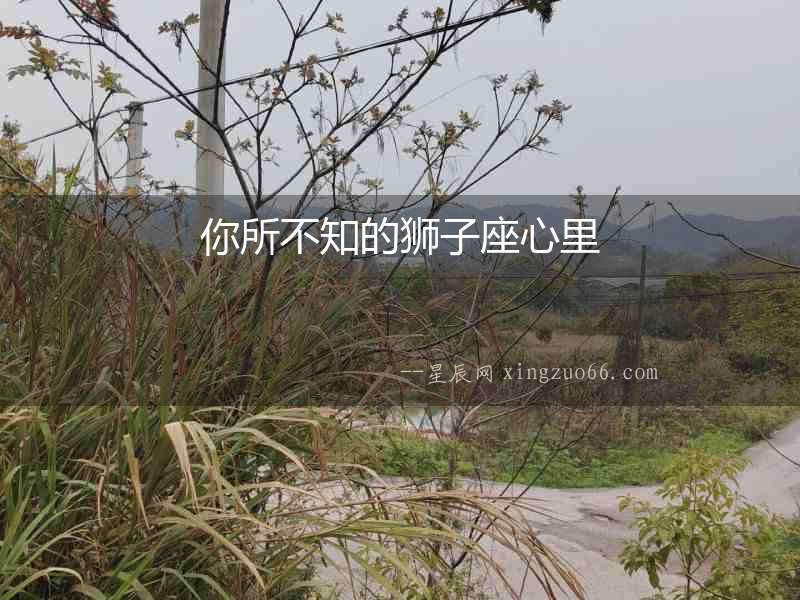 你所不知的獅子座心里
