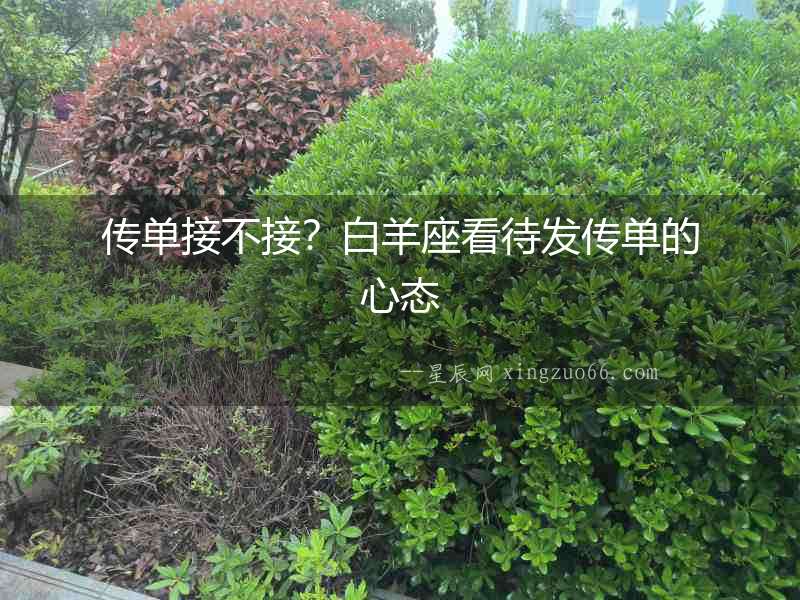傳單接不接？白羊座看待發傳單的心態