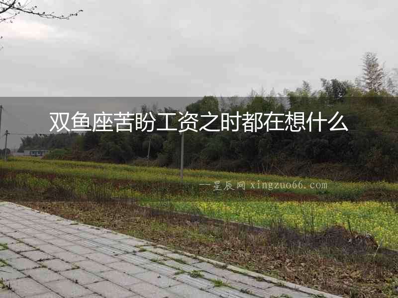 雙魚座苦盼工資之時(shí)都在想什么