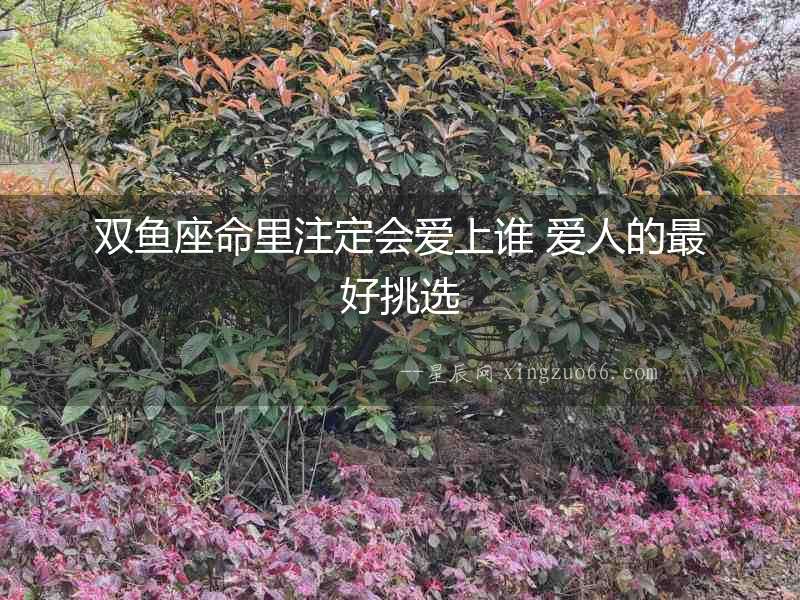 雙魚座命里注定會愛上誰 愛人的最好挑選