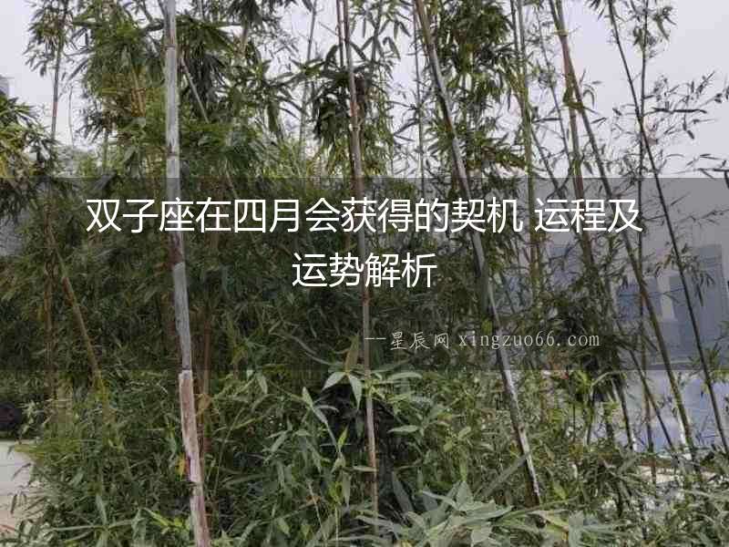 雙子座在四月會(huì)獲得的契機(jī) 運(yùn)程及運(yùn)勢(shì)解析