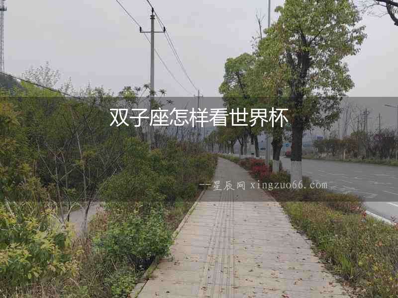 雙子座怎樣看世界杯