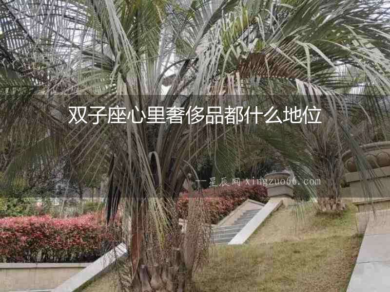 雙子座心里奢侈品都什么地位