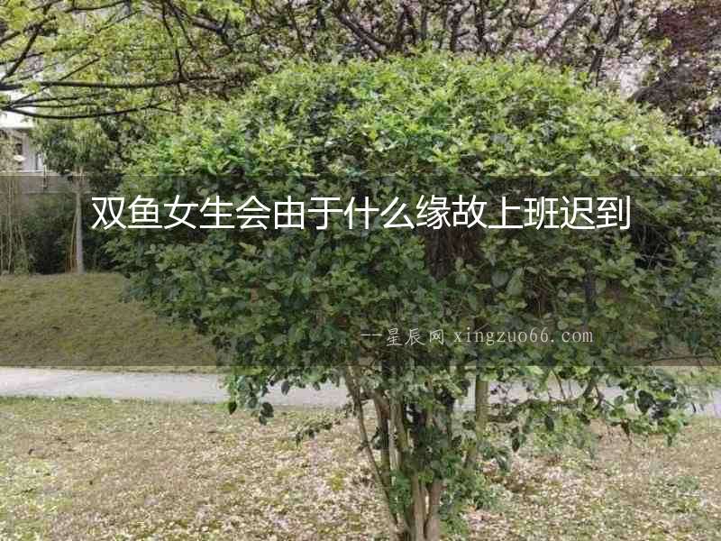 雙魚女生會(huì)由于什么緣故上班遲到