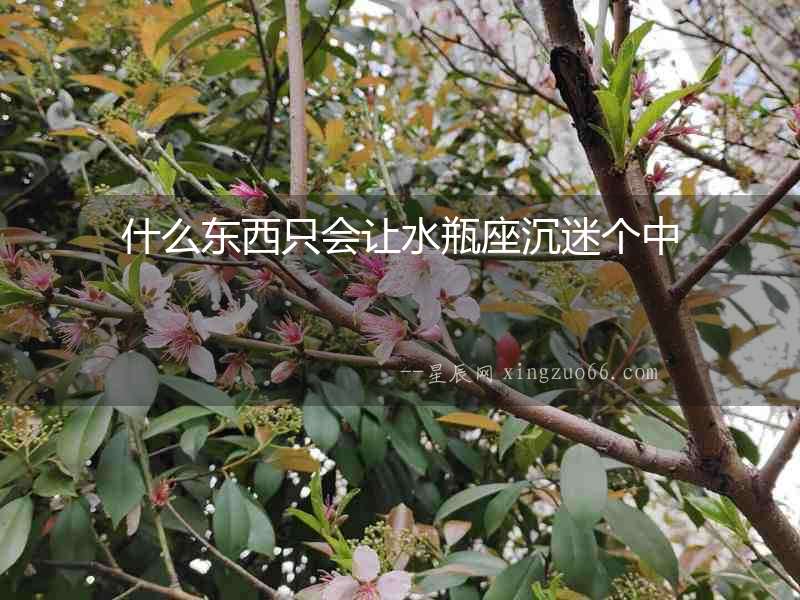 什么東西只會(huì)讓水瓶座沉迷個(gè)中