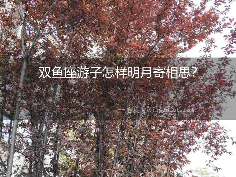 雙魚座游子怎樣明月寄相思？