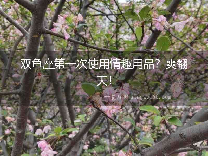 雙魚座第一次使用情趣用品？爽翻天！