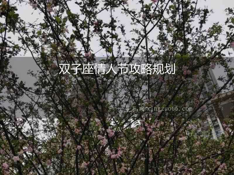 雙子座情人節(jié)攻略規(guī)劃