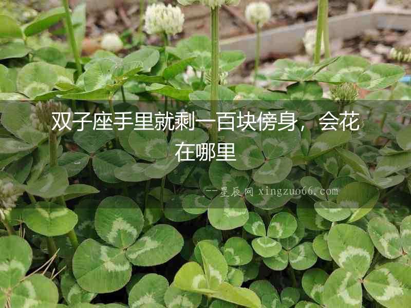 雙子座手里就剩一百塊傍身，會(huì)花在哪里
