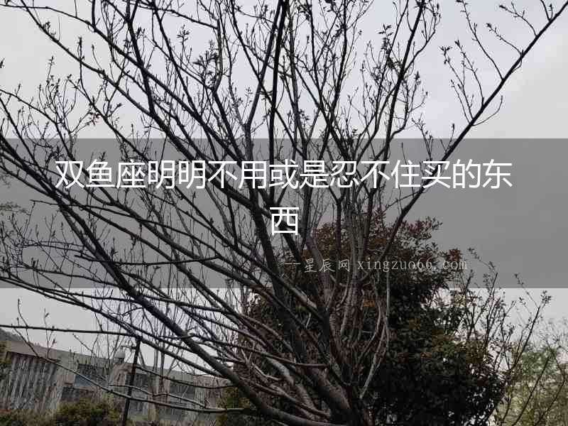 雙魚座明明不用或是忍不住買的東西