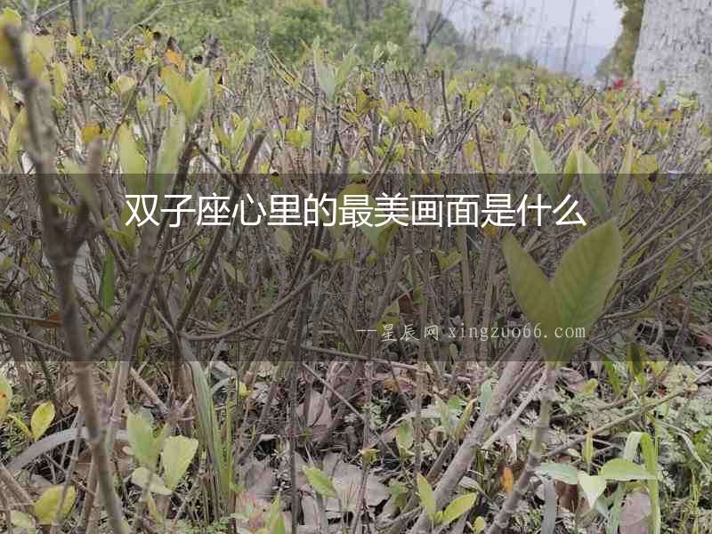 雙子座心里的最美畫面是什么