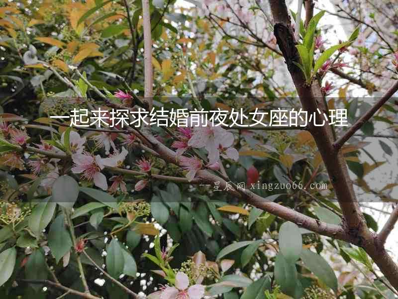 一起來探求結婚前夜處女座的心理