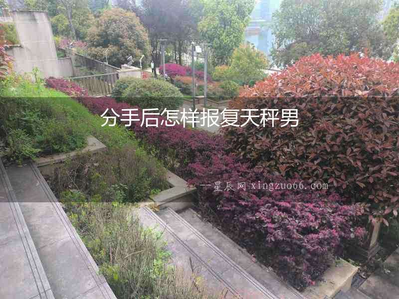 分手后怎樣報復天秤男