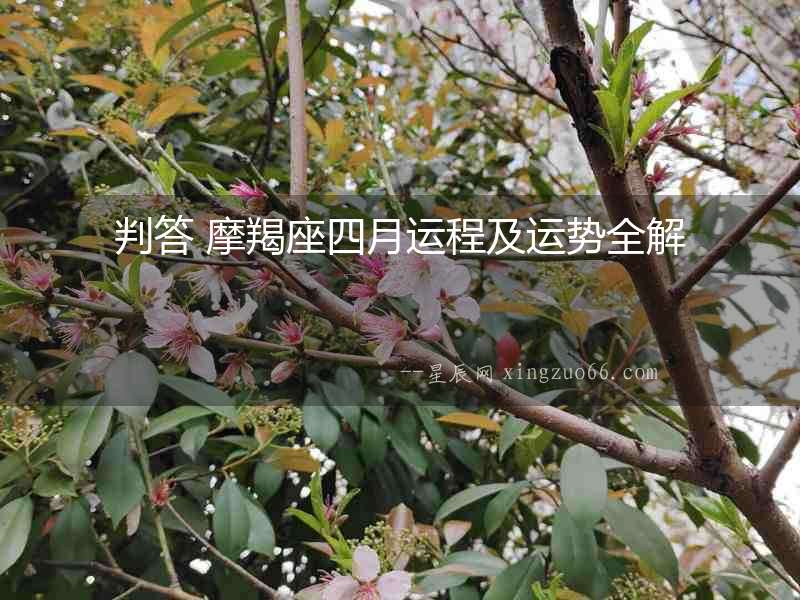 判答 摩羯座四月運程及運勢全解