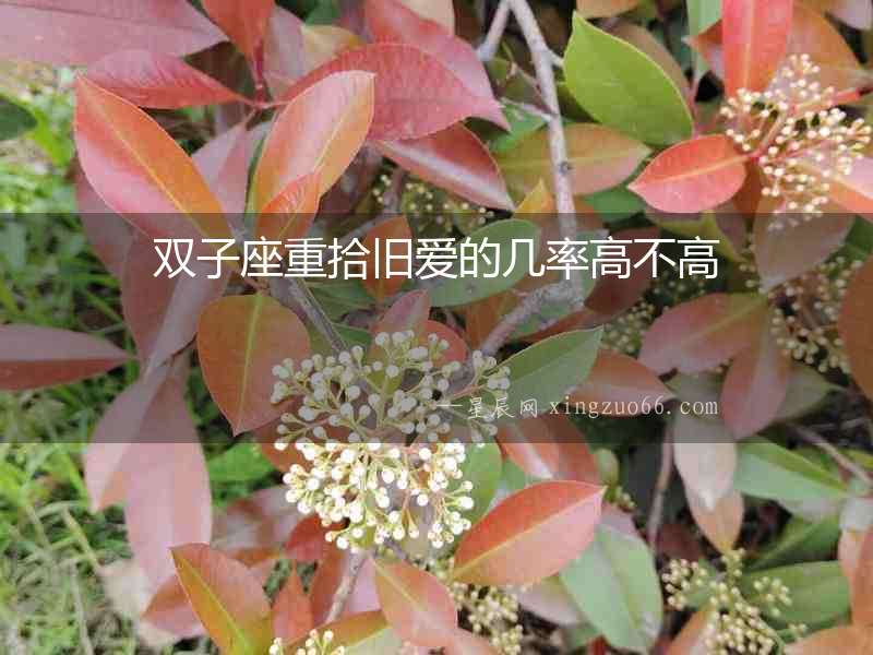 雙子座重拾舊愛(ài)的幾率高不高