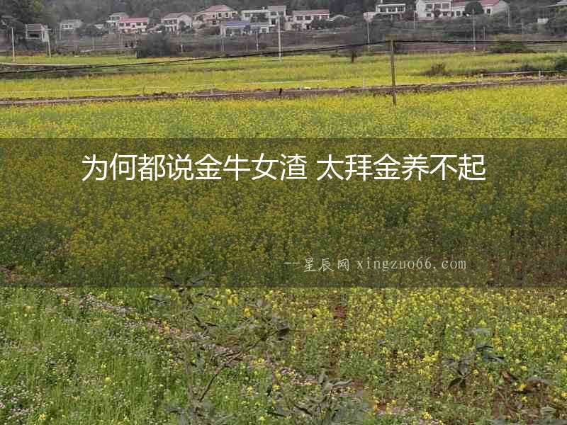 為何都說金牛女渣 太拜金養不起